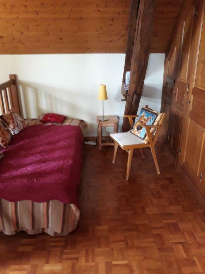 Gite Les Brulis Chatillon-sur-Loire Экстерьер фото